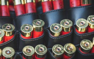 The Most Common Ammunition in the US You Should Know